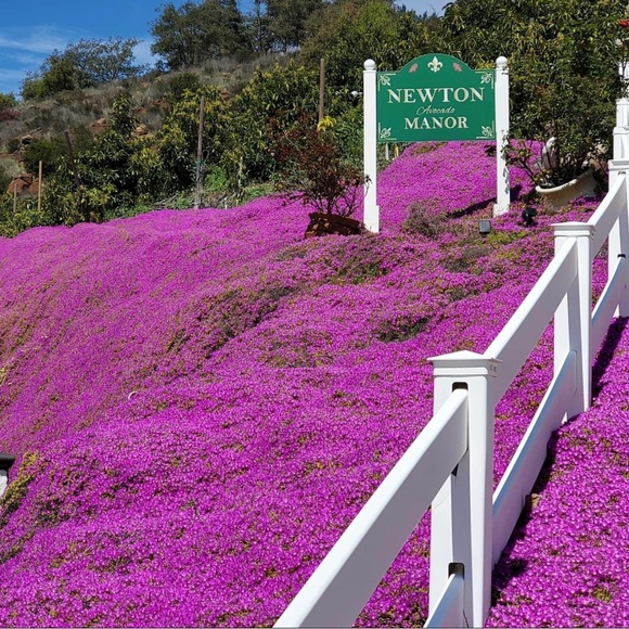 Meet your Posher, Kimberly - Picture 3 of 16